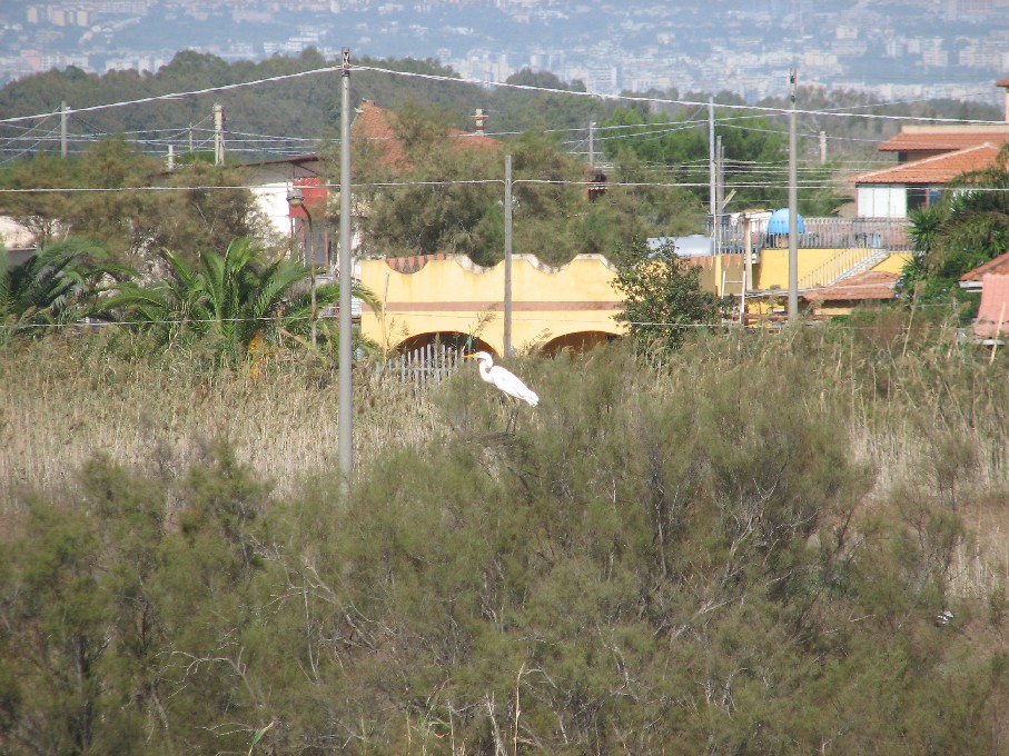 Lo spettacolo della natura e l''obbrobrio degli uomini